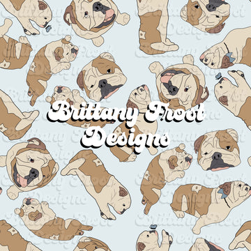English Bulldogs